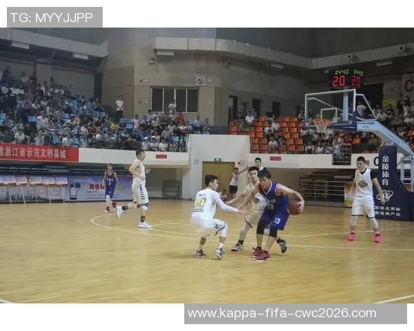 温篮球的魅力与发展探索：从校园到职业的全景视角